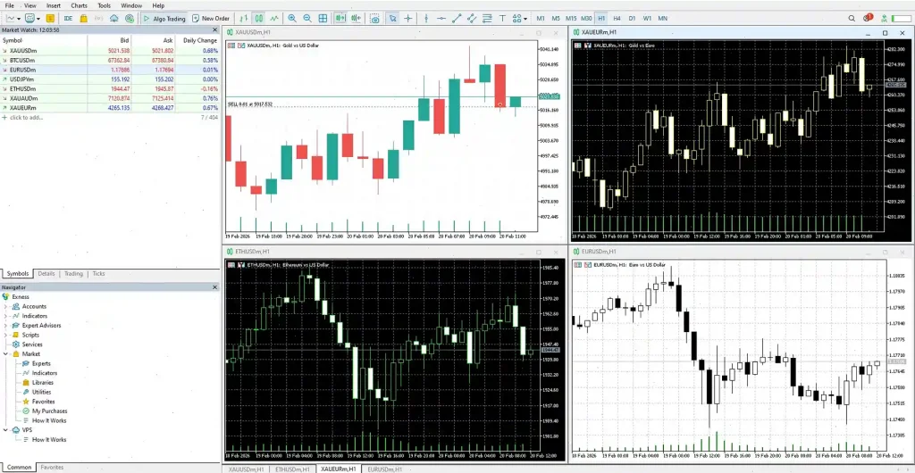 multi asset interface exness